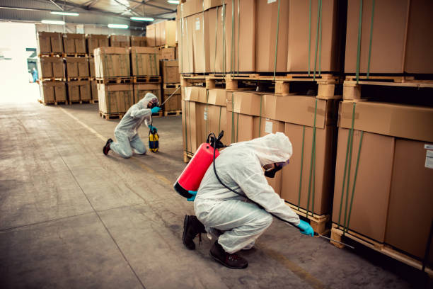 Best Mosquito Control Services  in Carrollton, IL