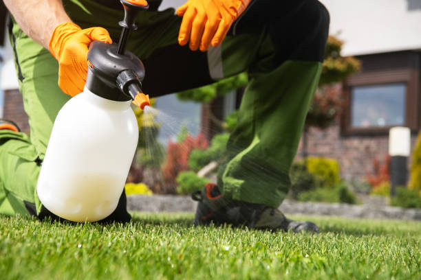 Best Spider Control Near Me  in Carrollton, IL
