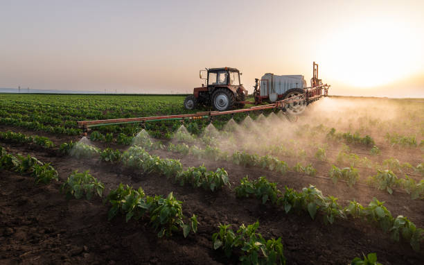 Best Pest Removal Services  in Carrollton, IL