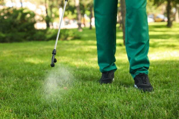 Best Emergency Pest Control  in Carrollton, IL