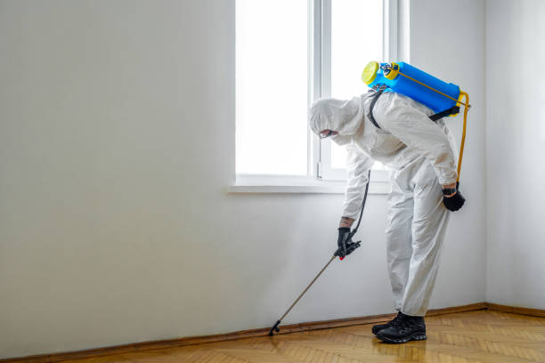 Best Affordable Pest Control Services  in Carrollton, IL