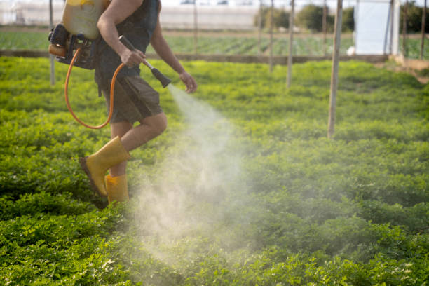 Pest Control for Restaurants in Carrollton, IL