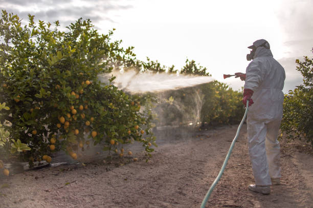 Best Best Pest Control Companies  in Carrollton, IL