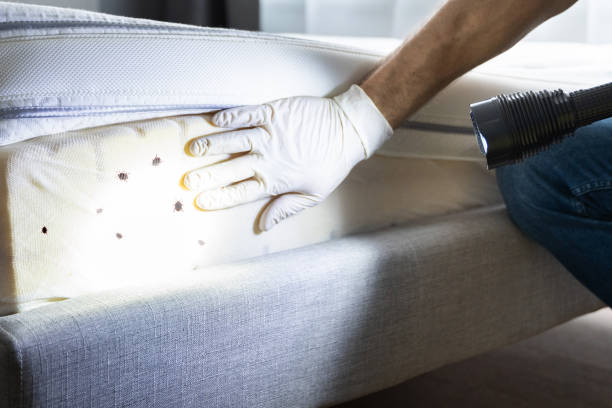 Best Cockroach Control Services  in Carrollton, IL