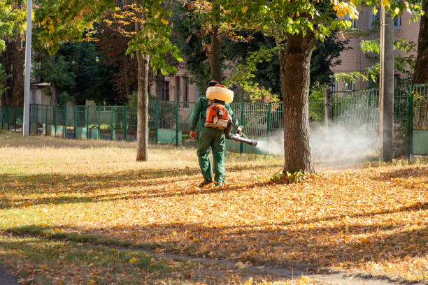 Best Pest Control Near Me  in Carrollton, IL