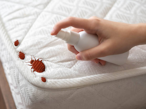 Best Best Pest Control Companies  in Carrollton, IL